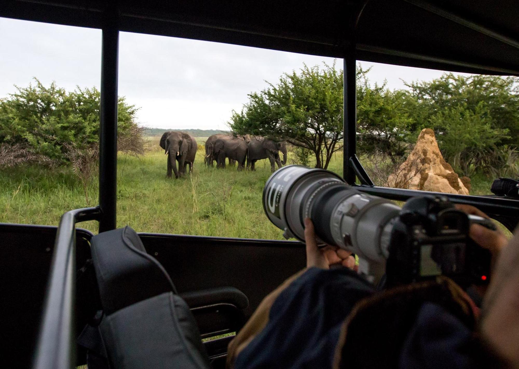 Royal Thonga Safari Lodge by Dream Resorts Sihangwane Bagian luar foto