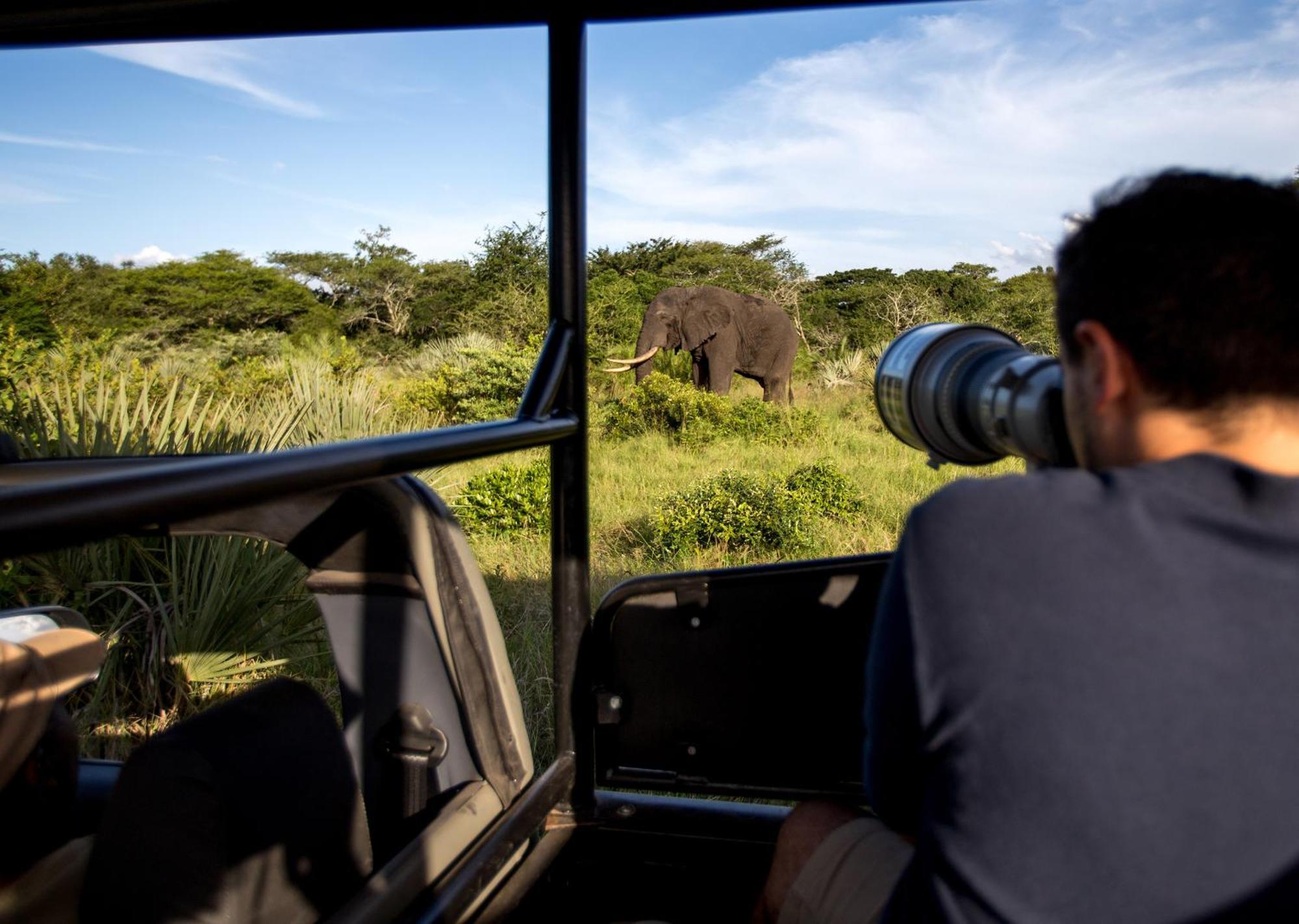 Royal Thonga Safari Lodge by Dream Resorts Sihangwane Bagian luar foto