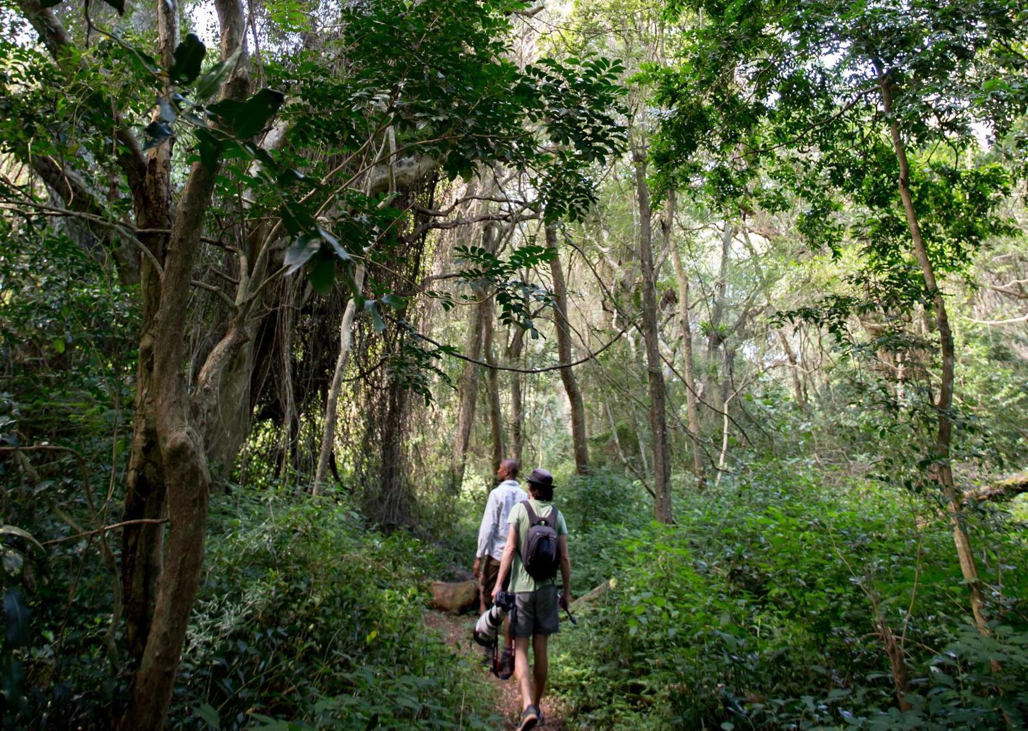 Royal Thonga Safari Lodge by Dream Resorts Sihangwane Bagian luar foto