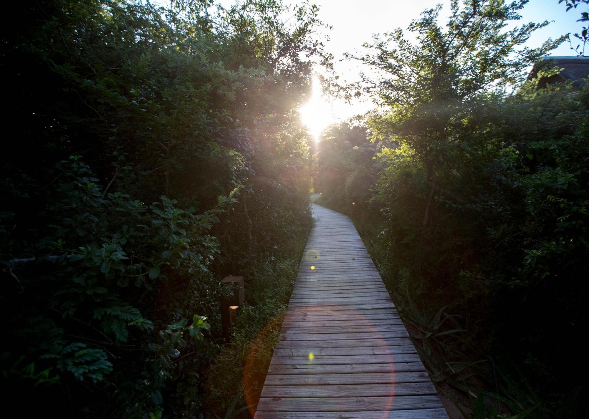Royal Thonga Safari Lodge by Dream Resorts Sihangwane Bagian luar foto
