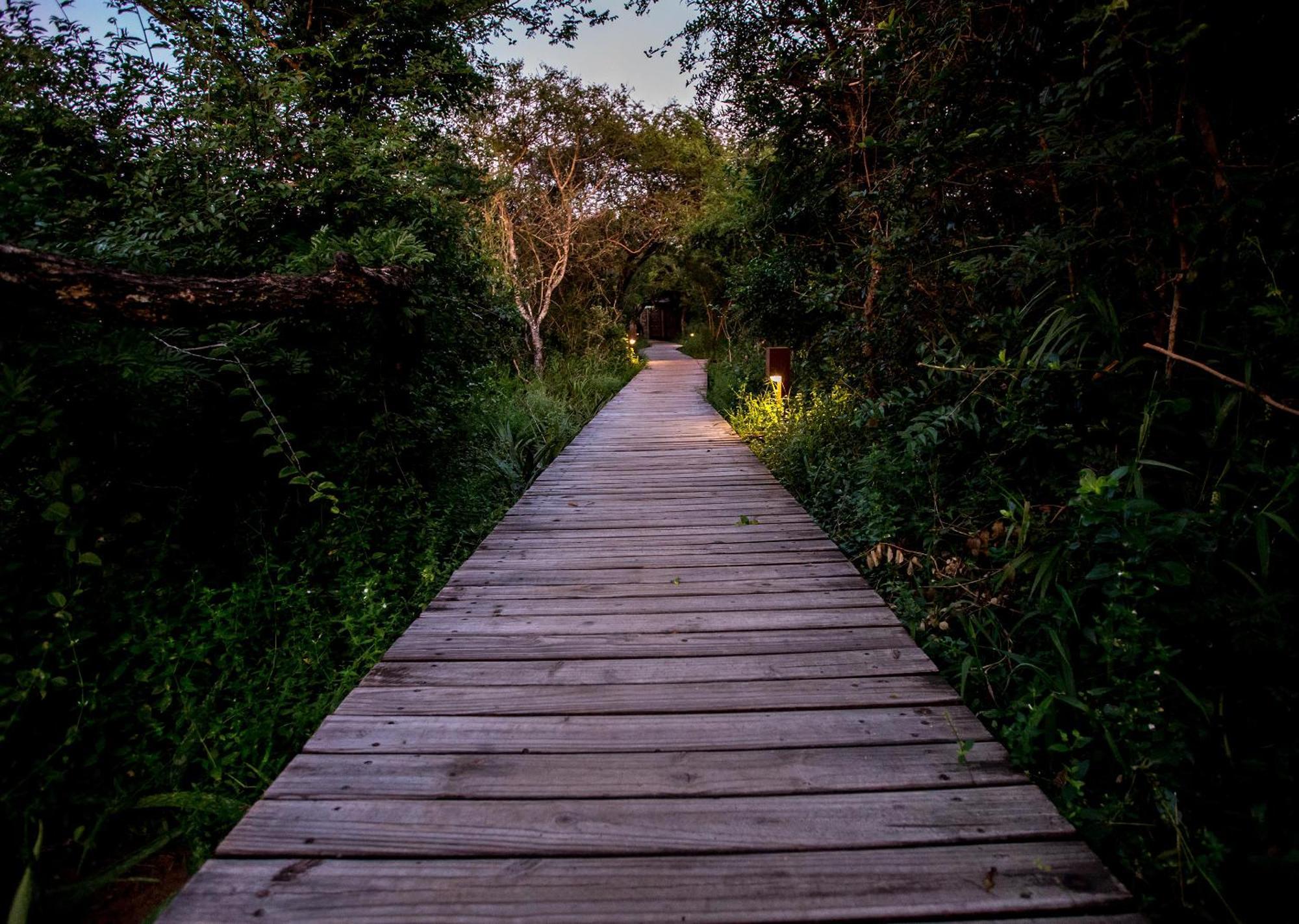 Royal Thonga Safari Lodge by Dream Resorts Sihangwane Bagian luar foto