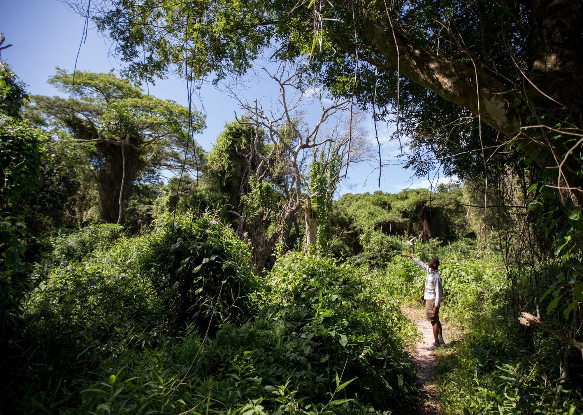 Royal Thonga Safari Lodge by Dream Resorts Sihangwane Bagian luar foto