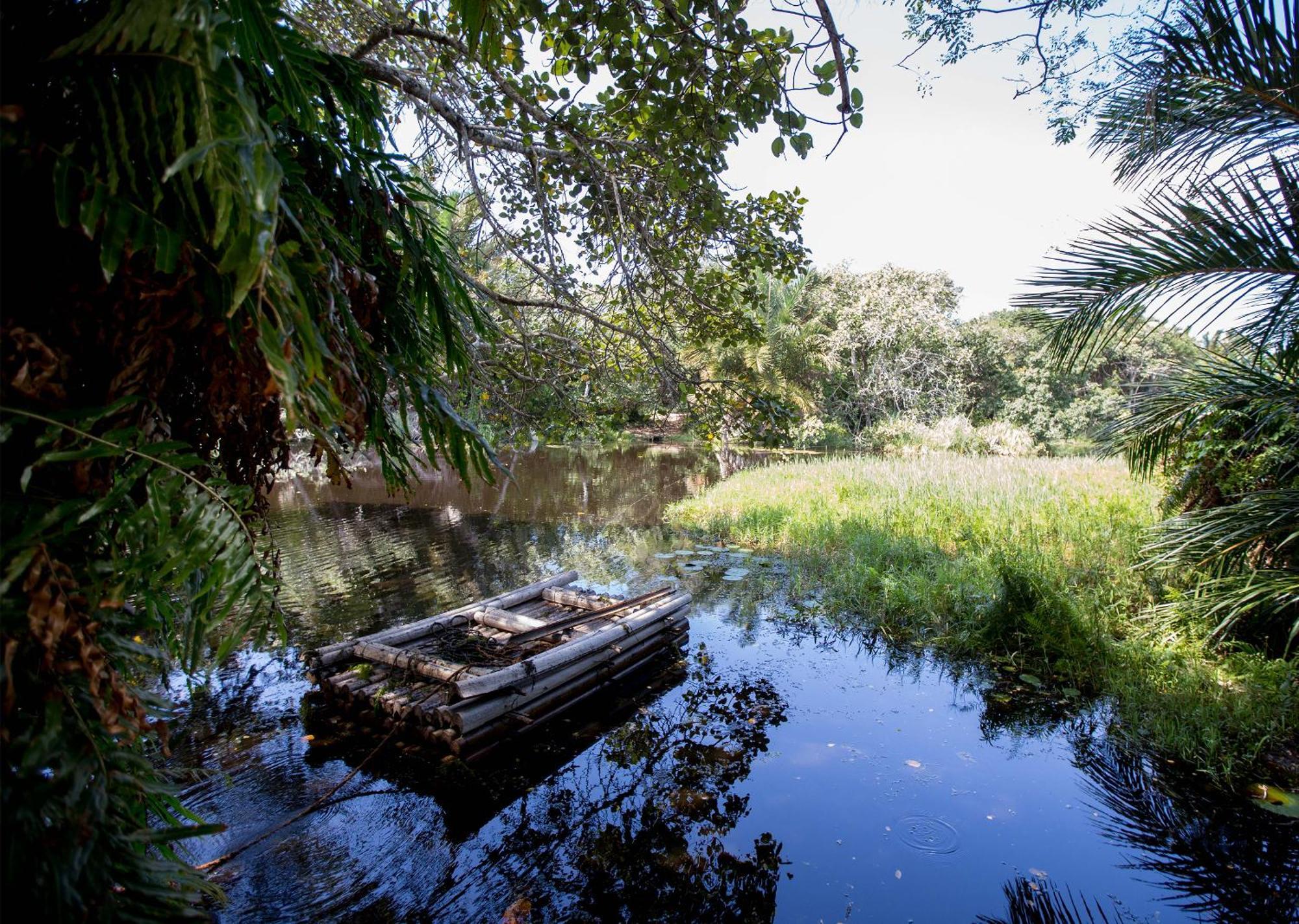 Royal Thonga Safari Lodge by Dream Resorts Sihangwane Bagian luar foto